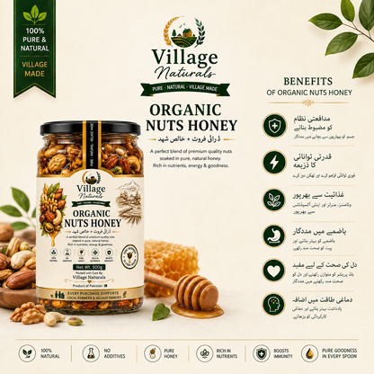 Village Naturals Organic Nuts Honey – Premium Dry Fruits Infused with Pure Natural Honey | 500g